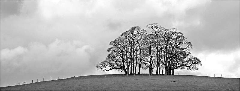 3 Guardians of the Hill_David Pryke.jpg - Exhibition 2019
